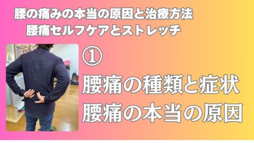 腰痛の種類と症状・腰痛の本当の原因を解説