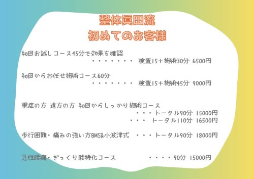 整体眞田流施術料金表2026